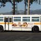 Image for article titled My Love For These Two Buses Runs Deep